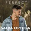 Salva Ortega - Perfect - Single